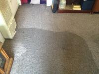 909 Green Carpet Cleaning image 5